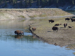 DSC04614.JPG