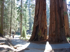 DSC05325.JPG