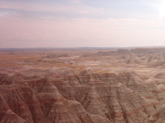 DSC04449.JPG