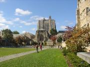 DSC01441.JPG