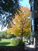 DSC01439.JPG