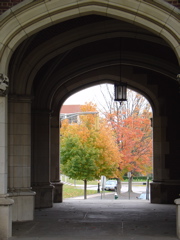 DSC03370.JPG
