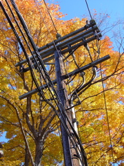 DSC03466.JPG