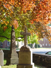 DSC03480.JPG