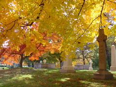 DSC03484.JPG