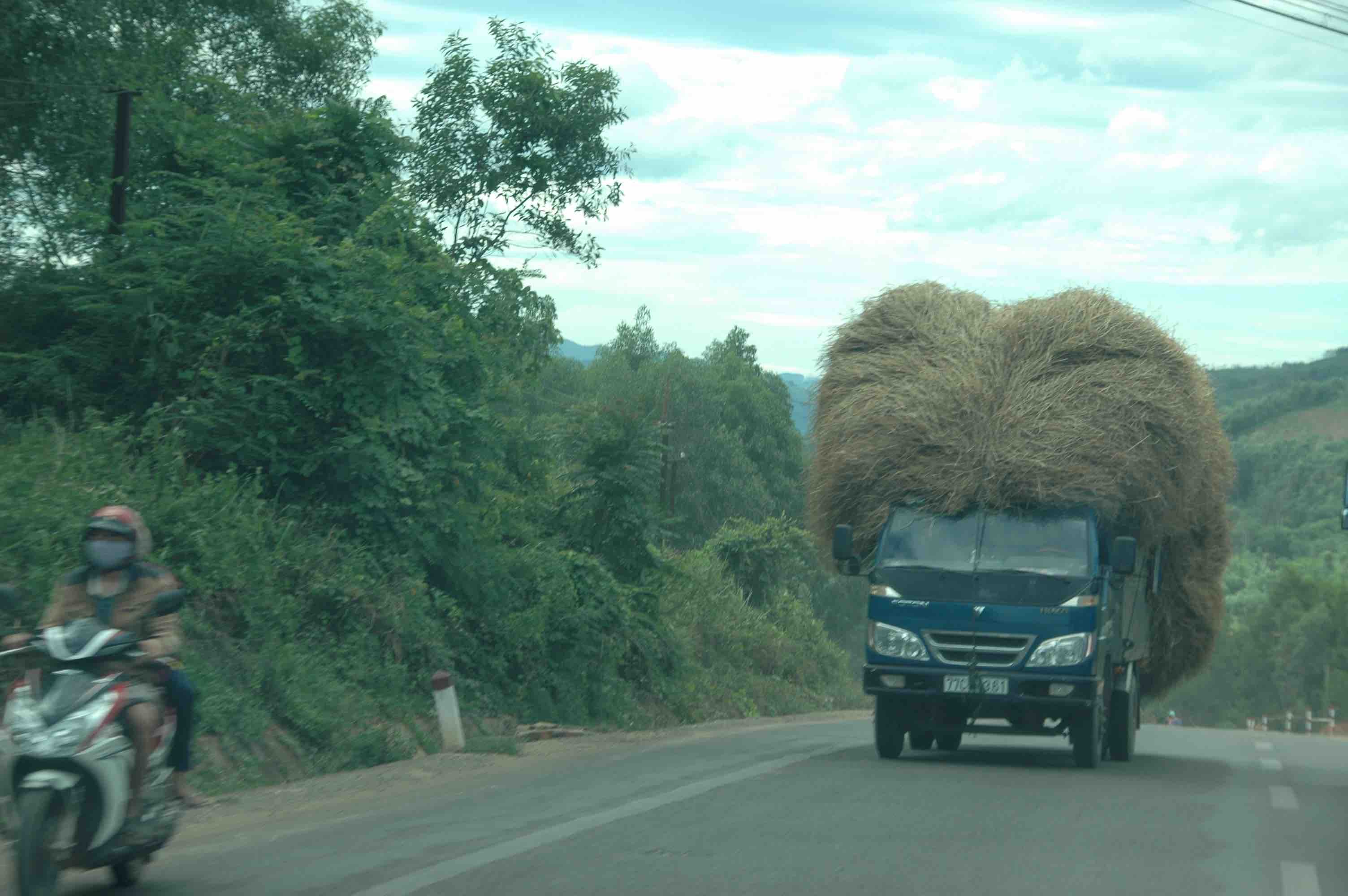 HairyTruck