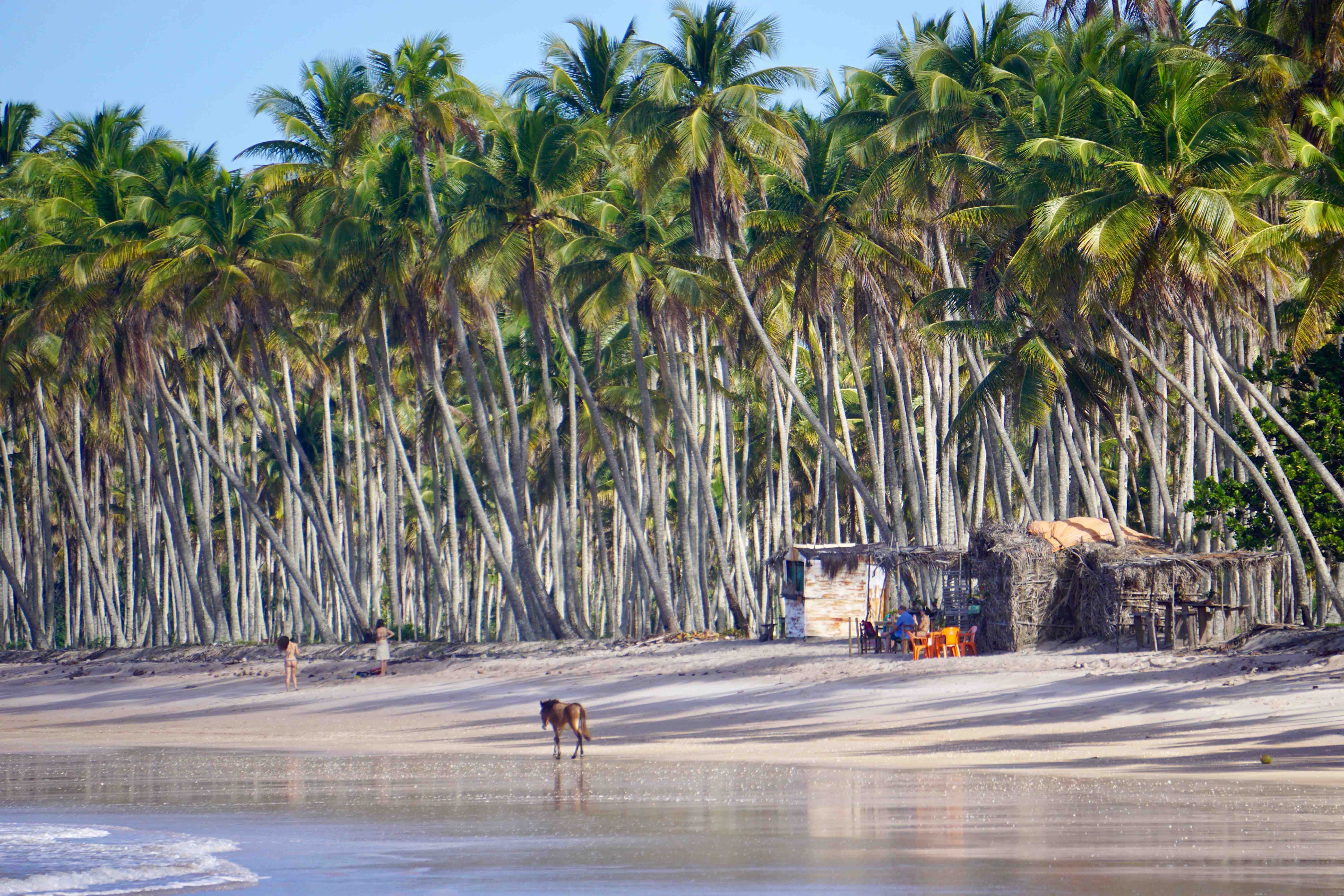 Boipeba