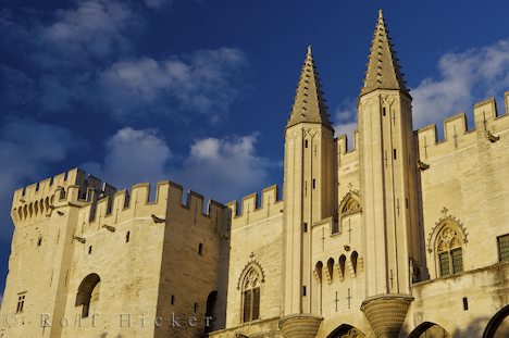 PONT d'Avignon 2008